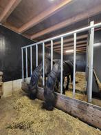 Stalling aangeboden voor een jaarling friese merrie, Dieren en Toebehoren, Stalling en Weidegang, Weidegang, 1 paard of pony