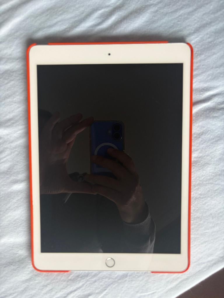 iPad (7e Generatie), Computers en Software, Apple iPads, Gebruikt, 32 GB, Apple iPad, Grijs