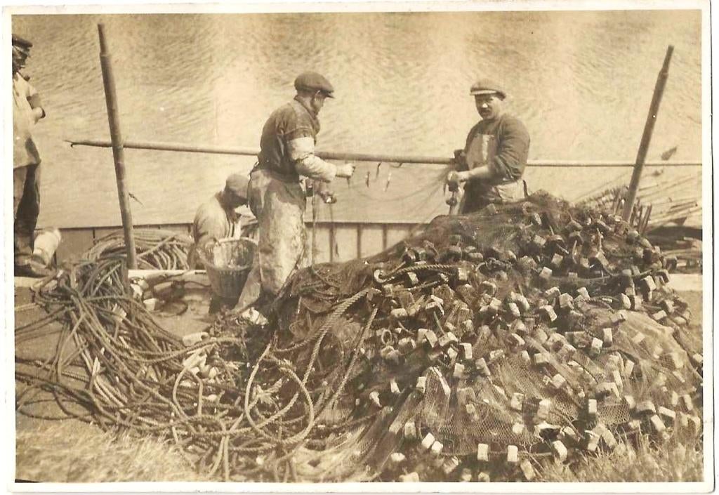 Enkhuizen-Visserij- 227     Echte foto, Verzenden, Foto, Zo goed als nieuw, Voor 1940