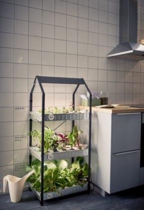 IKEA Krydda/Växer kweekkast met drie verdiepingen, Tuin en Terras, Kweekspullen, Ophalen, Gebruikt, Kweekkast