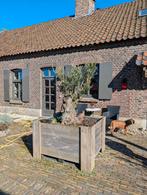 Olijfboom met bak, Ophalen, Rond, Kunststof, 60 cm of meer