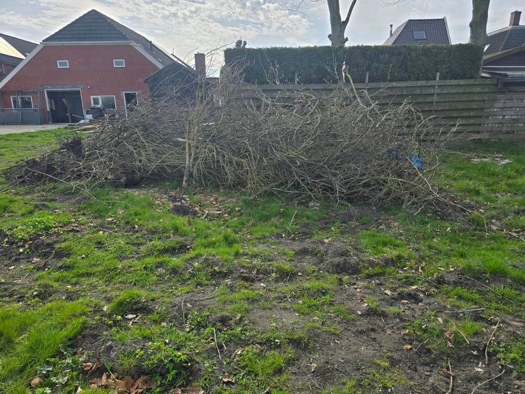 Takken gratis af te halen, Ophalen, Overige soorten