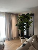 Kunst boom voor binnen inc pot, Ophalen of Verzenden, Zo goed als nieuw, Rond, Binnen