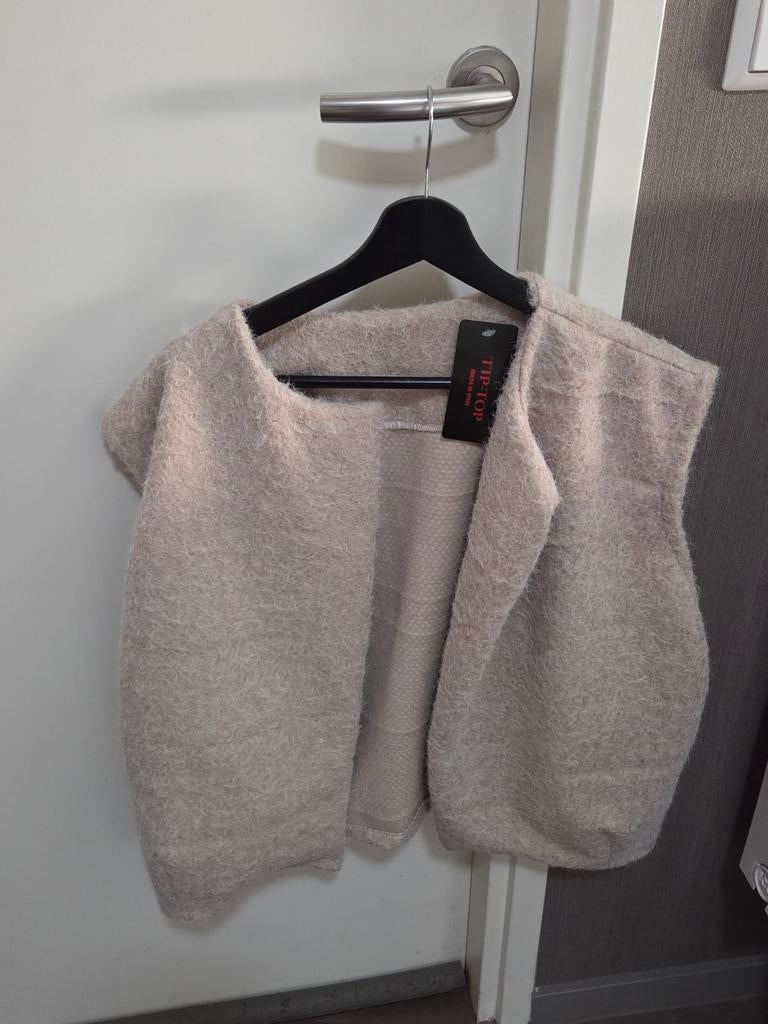 Mooie gilet, maat 42/44, Kleding | Dames, Bodywarmers, Beige, Maat 42/44 (L), Nieuw, Ophalen of Verzenden