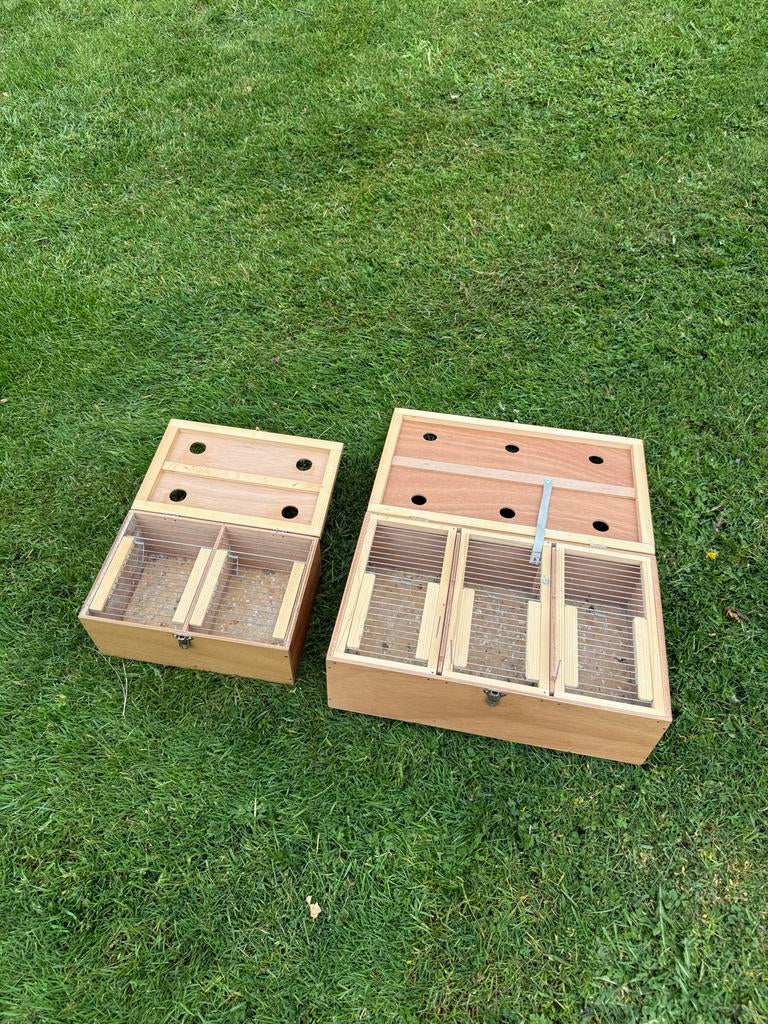 2 stuks vervoerskooi tbv vogels. Parkieten etc, Dieren en Toebehoren, Vogels | Hokken en Kooien, Ophalen of Verzenden, Hout, Vogelkooi