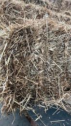 Kleine pakjes graszaadhooi, Ophalen of Verzenden, Vee