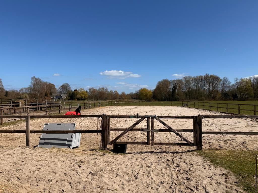 Stalling weidegang, Dieren en Toebehoren, Stalling en Weidegang, Stalling