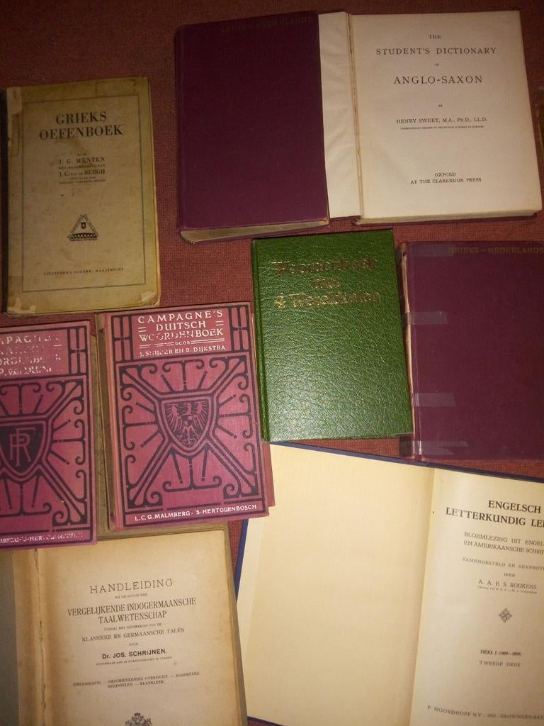 Diverse oude woordenboeken en leerboeken, Boeken, Woordenboeken, Gelezen, Verzenden, Diverse auteurs, Overige uitgevers