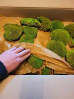 Bolmos, kussentjesmos, Ophalen of Verzenden, Materiaal