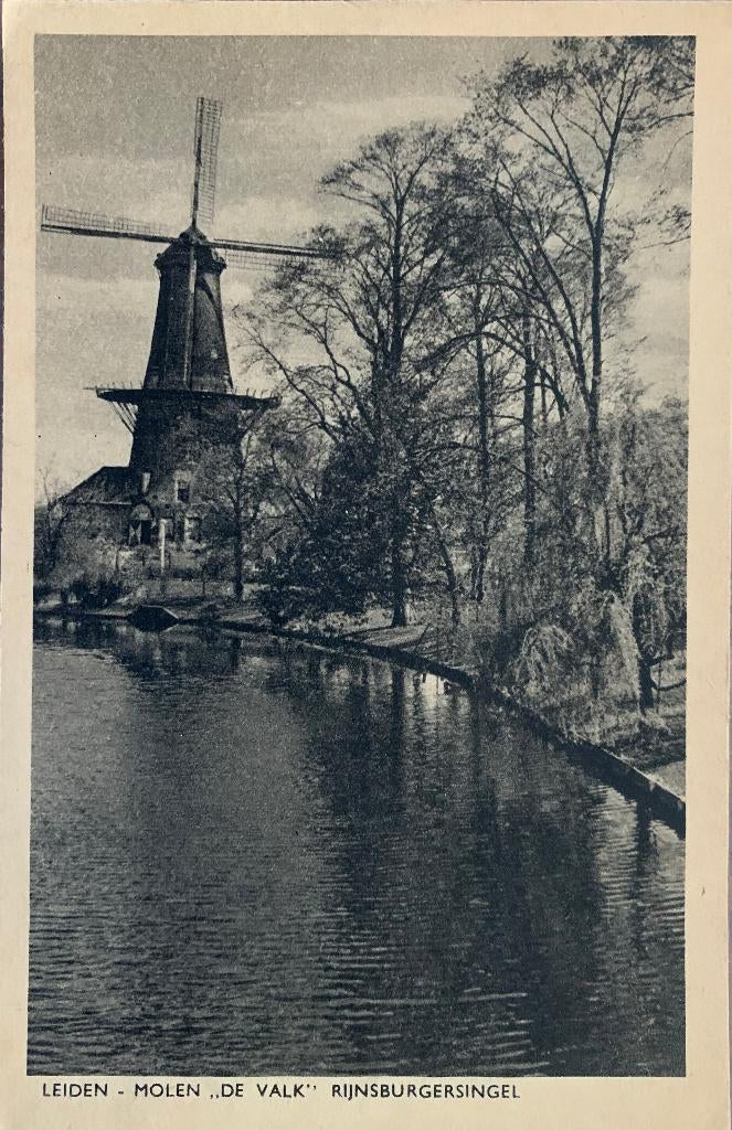 Leiden, Molen de Valk Rijnsburgersingel, Verzamelen, Ansichtkaarten | Nederland, Verzenden, 1940 tot 1960, Ongelopen, Zuid-Holland