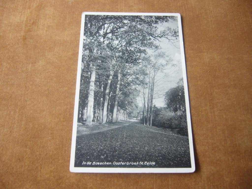 EELDE  =  IN DE BOSSCHEN OOSTERBROEK, Verzamelen, Ansichtkaarten | Nederland, Ophalen of Verzenden, 1920 tot 1940, Ongelopen