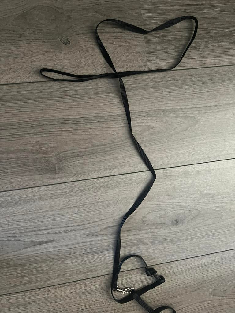 Kitten tuigje met riem, Dieren en Toebehoren, Ophalen of Verzenden, Zo goed als nieuw