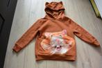 Albert Heijn - Hamster hoodie - 110/116, Jongen of Meisje, Trui of Vest, Ophalen of Verzenden, Zo goed als nieuw