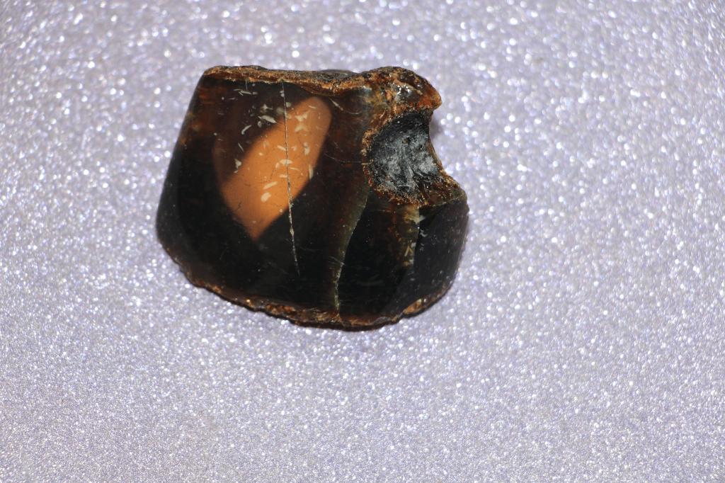 Amber (4 pcs), Ophalen of Verzenden, Fossiel