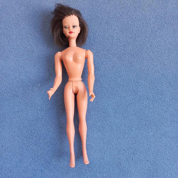 Willy Wildebras barbiepop, Verzamelen, Poppen, Gebruikt, Pop, Ophalen of Verzenden