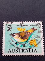 Australische postzegel: Yellow-tailed Thornbill, 5c, Ophalen of Verzenden, 1980 tot heden, Overig Europa