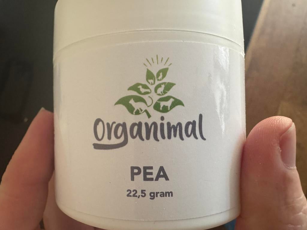 PEA hond nieuw, Ophalen of Verzenden, Nieuw