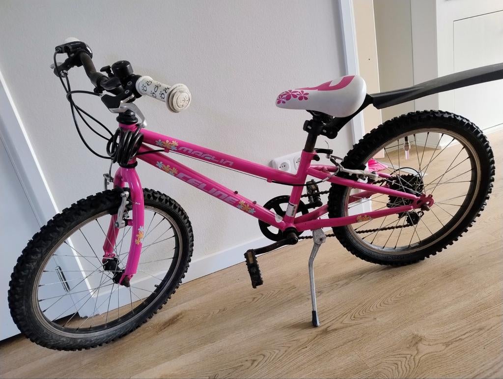 Mountainbike, Fietsen en Brommers, Fietsen | Kinderfietsjes, Ophalen, Gebruikt, 20 inch of meer