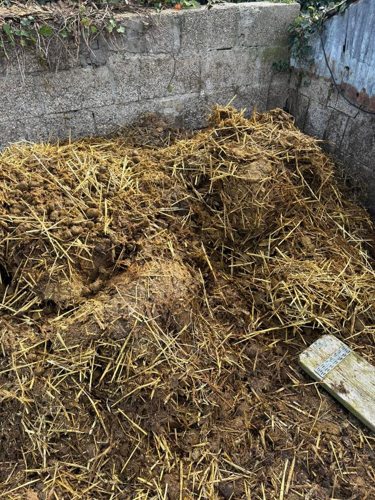 Stromest paardenmars, Ophalen, Vee