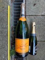 Etalagefles champagne, Verzamelen, Wijnen, Ophalen of Verzenden, Zo goed als nieuw, Frankrijk, Champagne
