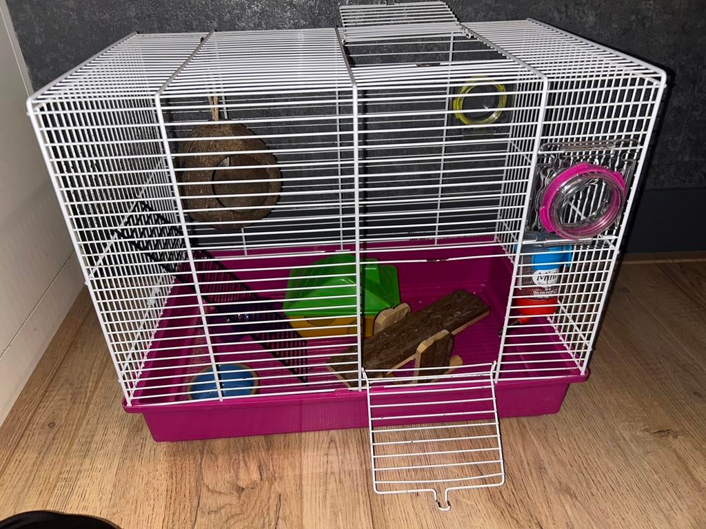 Hamster kooi, Ophalen, Kooi, Gebruikt, 60 tot 90 cm
