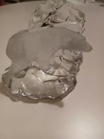 Koopje!!!! Ijsbeer., Ophalen of Verzenden