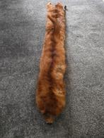 Echt nerts bontsjaalkraag, Ophalen