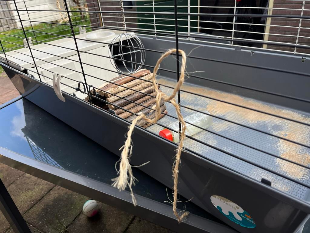 Cavia-kooi, Kooi, Cavia, Ophalen, Minder dan 60 cm