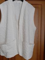Nieuw wit gilet maat 48,/50, Kleding | Dames, Grote Maten, Ophalen of Verzenden, Nieuw, Wit