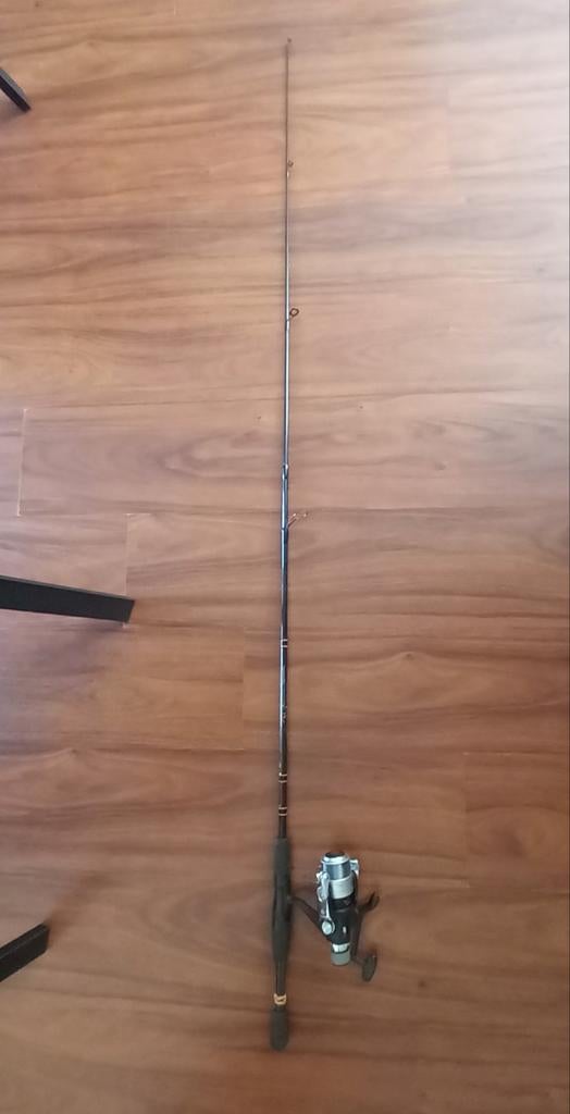 Werphengel van 170 cm + molen, Watersport en Boten, Hengelsport | Algemeen, Ophalen, Gebruikt, Werphengel