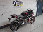 APRILIA RS 457, Motoren, Motoren | Aprilia, 2 cilinders, Bedrijf, Onbekend, Super Sport