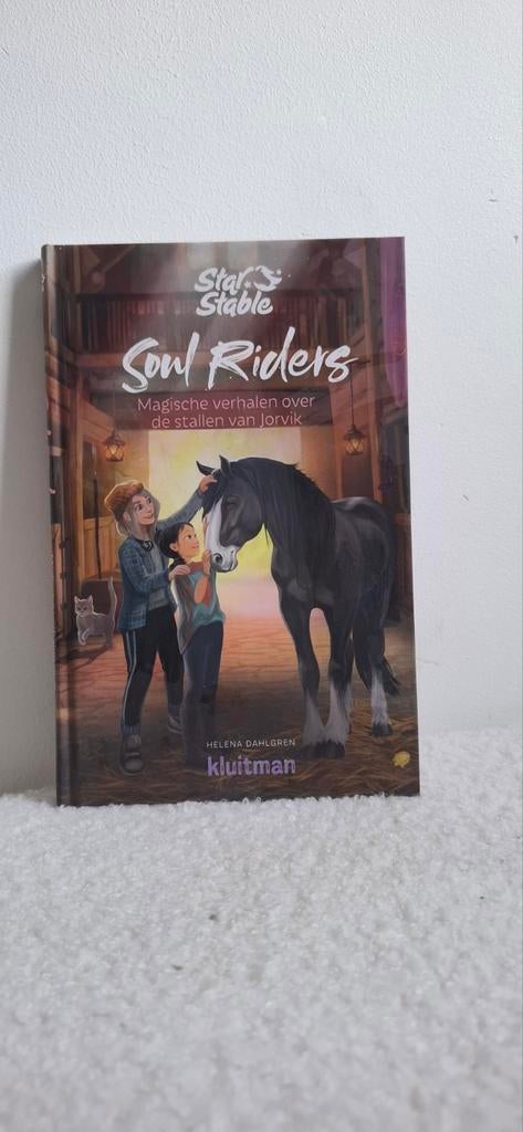 Starstable boek, Ophalen of Verzenden, Zo goed als nieuw