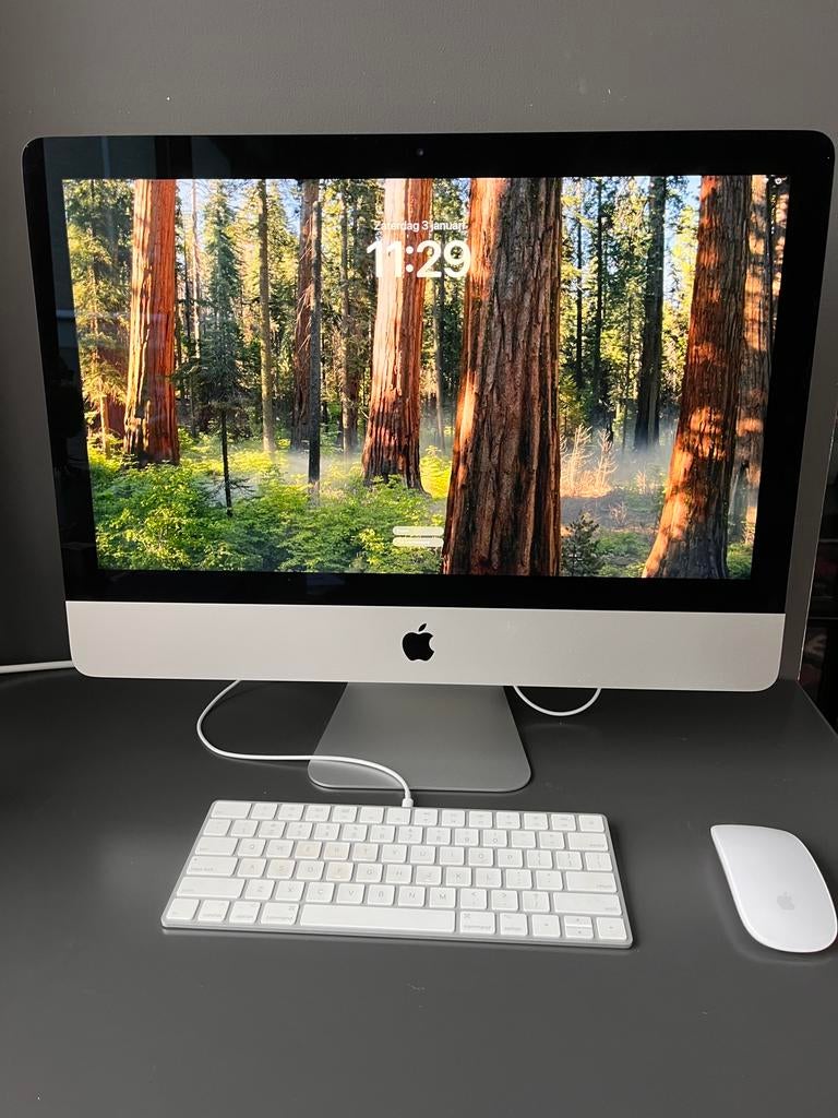 Imac 21,5 3Ghz 6 core I5 late 2019 SSD 1TB, Computers en Software, Apple Desktops, Ophalen, IMac, SSD, 3 tot 4 Ghz
