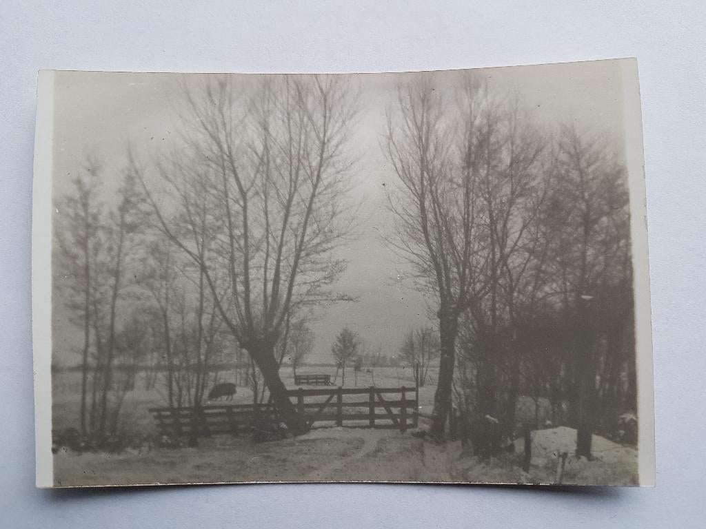 Foto doorkijkje Voorstraat oud Zwaagwesteinde, Verzamelen, Foto's en Prenten, Ophalen of Verzenden, Voor 1940, Zo goed als nieuw