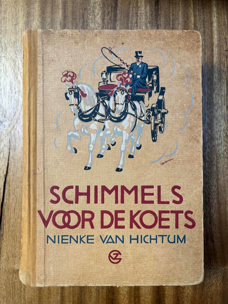 Schimmels voor de koets - Nienke van Hichtum (2e druk), Ophalen of Verzenden, Gelezen, Fictie algemeen