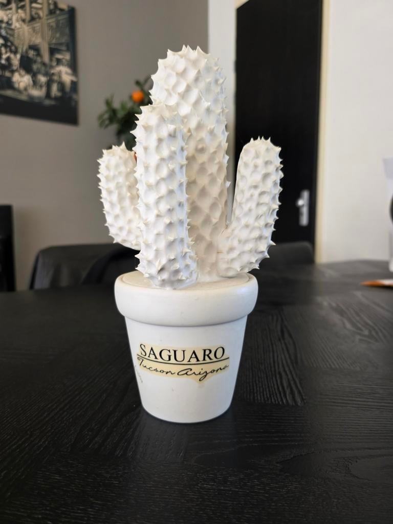 Decoratieve cactus in pot - Riviera Maison, Huis en Inrichting, Woonaccessoires | Overige, Ophalen of Verzenden, Zo goed als nieuw