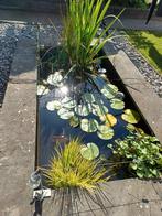 Vijver met apparatuur, Ophalen, Gebruikt