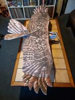 R.C. Eagle voor de knutselaars, Ophalen, Gebruikt