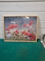 schilderij daimond painting klaprozen, Ophalen of Verzenden, 'T Olde Gre-j, Info@toldegrej.nl, Endepoelstraat 20f Didam