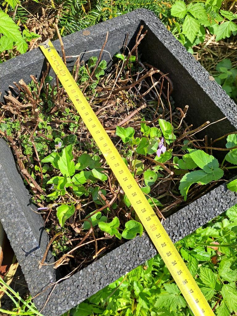 Zwarte plantenbak van kunststof, vierkant, Kunststof, Gebruikt, Vierkant, Ophalen of Verzenden