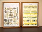 Posters, ingelijst, voor keukeninterieur , Brood& Pasta, Minder dan 50 cm, 50 tot 75 cm, Verzenden, Zo goed als nieuw