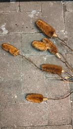 Brocante kunst distel tak, Ophalen of Verzenden