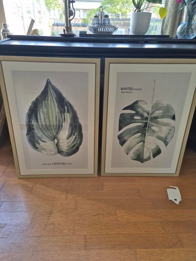 Botanische canvas schilderijen met lijst, Ophalen, Zo goed als nieuw, Hout, 50 tot 75 cm