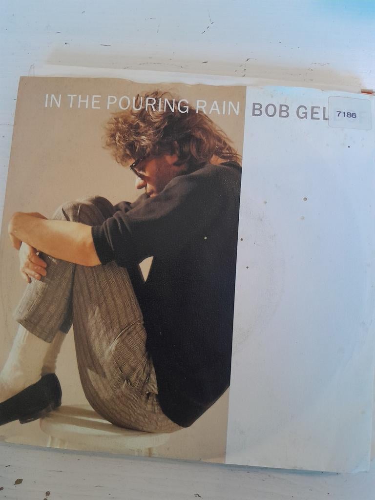 Bob geldof 7 inch in the pouring rain, Ophalen of Verzenden, Zo goed als nieuw, Pop