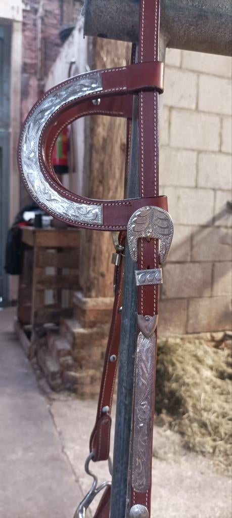 Western hoofdstel full medium oil, Dieren en Toebehoren, Ophalen, Western