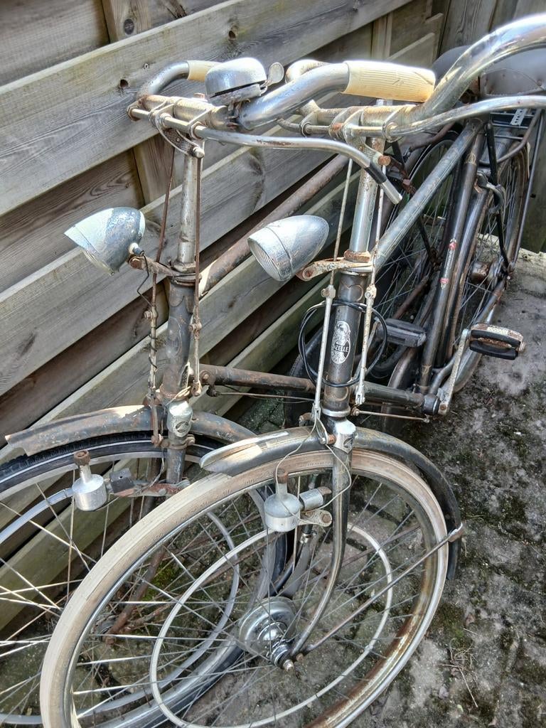 Gazelle.  Simplex. Fongers., Ophalen