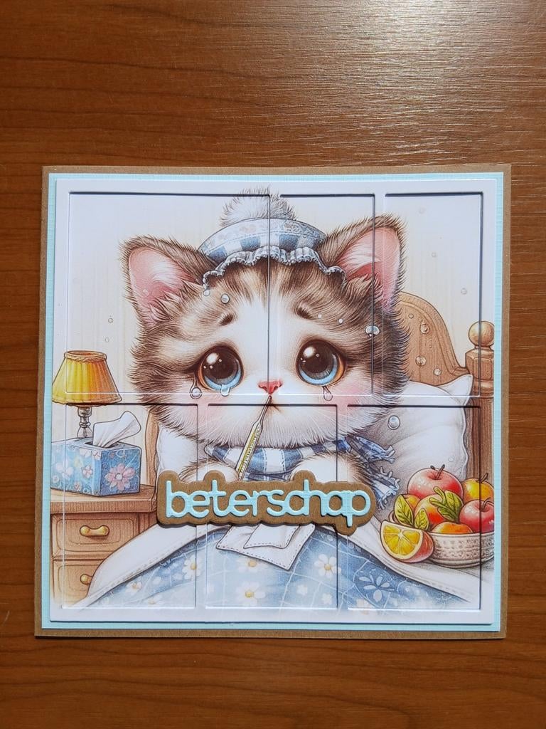 Kaart beterschap poes ziek in bed 655 = 1,75, Ophalen of Verzenden, Zo goed als nieuw, Overige thema's