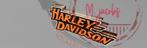 Harley Davidson reclamebord met LED verlichting, Ophalen of Verzenden, Nieuw, Lichtbak of (neon) lamp