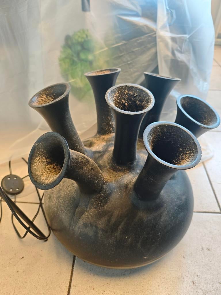 Zwarte Tulpenvaas met Meerdere Monden, Ophalen of Verzenden