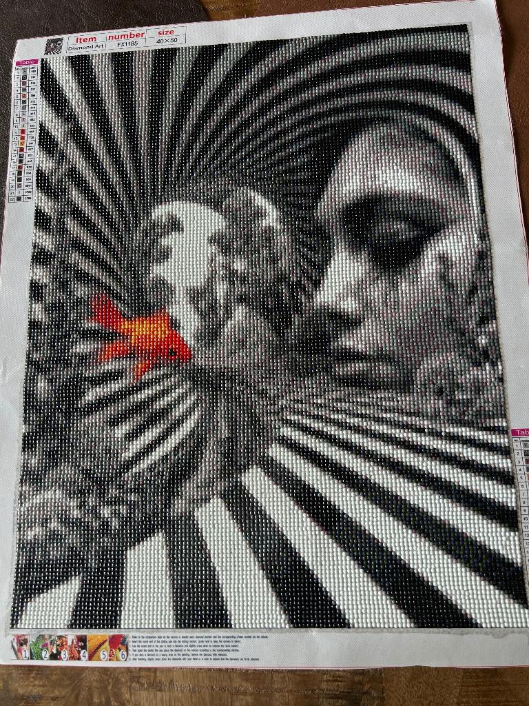 Diamond painting doek, Minder dan 50 cm, Ophalen of Verzenden, Zo goed als nieuw, Schilderij